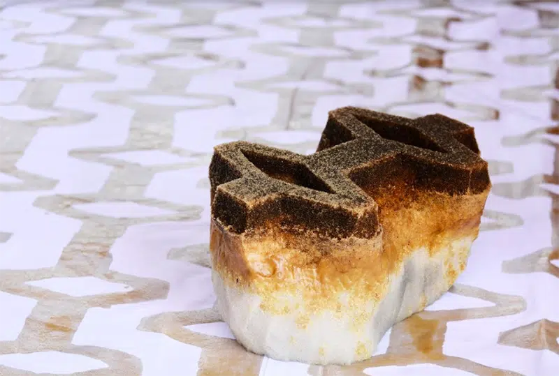 Developing the Moringa Filtration System